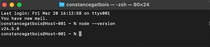 Résultat de la commande node --version dans le terminal